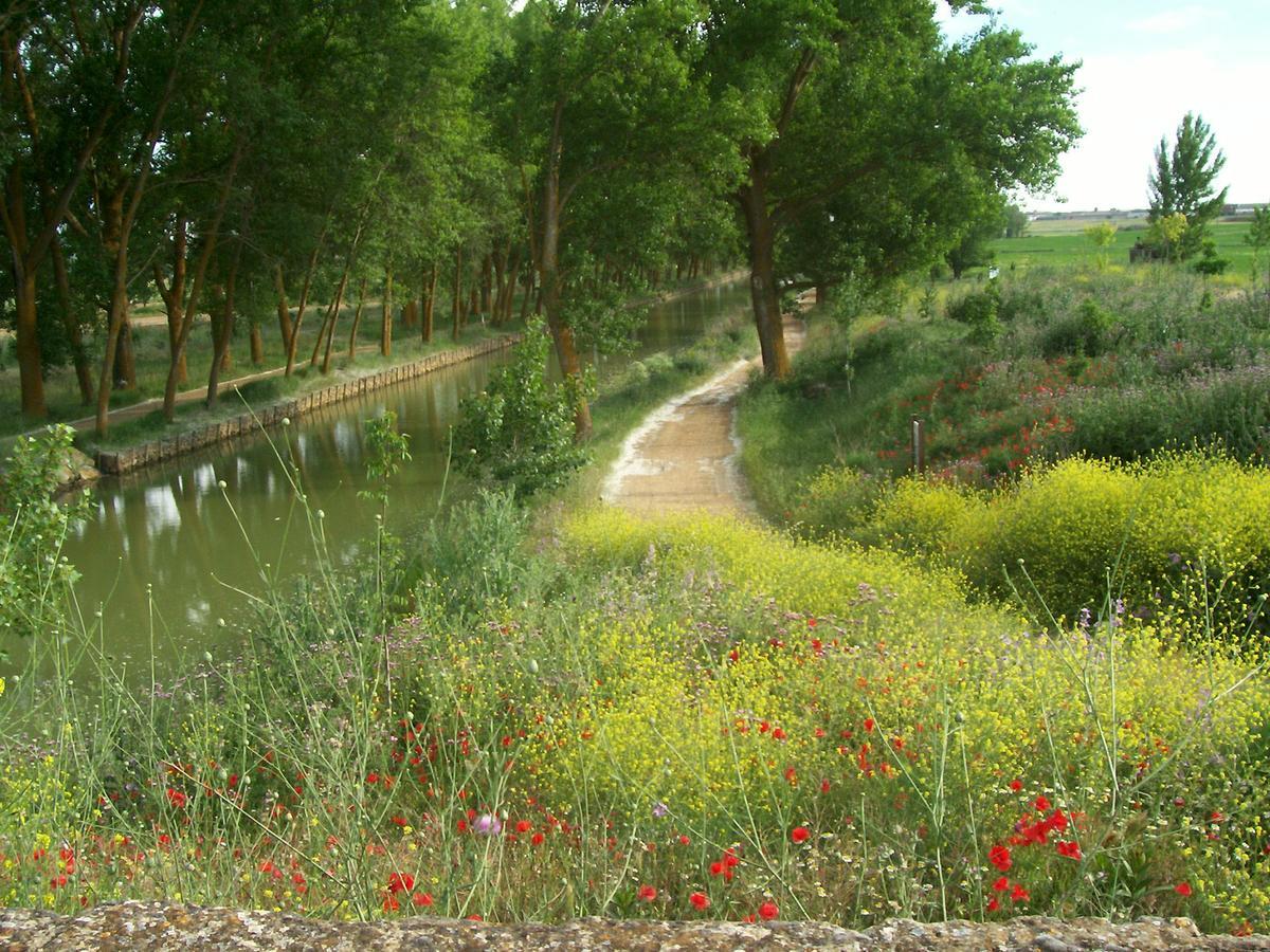 Quinta Del Canal Guest House Tamariz de Campos Exterior photo