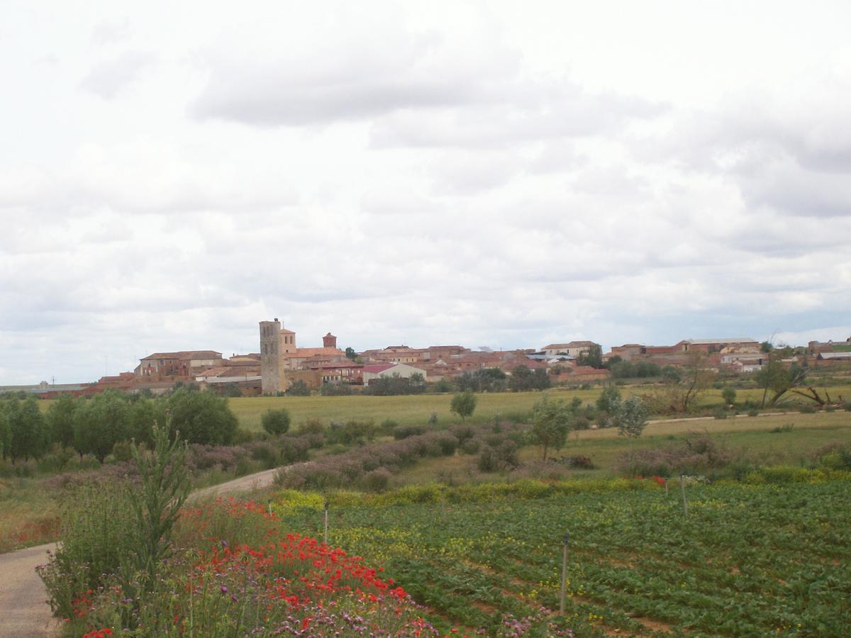 Quinta Del Canal Guest House Tamariz de Campos Exterior photo